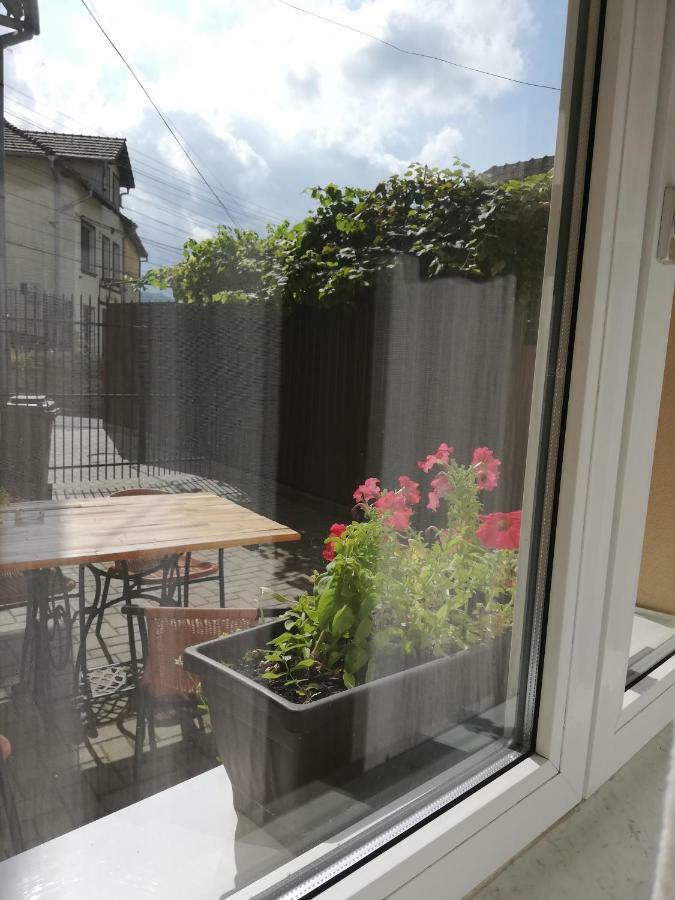 Vintage Apartment - Ultracentral, 2 Dormitoare سيفِسوارا المظهر الخارجي الصورة